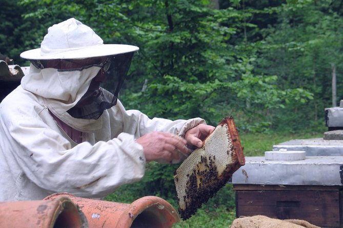 Beekeeping Day Trip| Private Guided Tour from Bucharest - Honeybee Products for Dessert: What to Expect From the Tasting