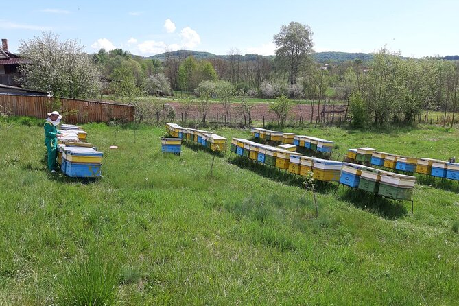 Beekeeping Day Trip| Private Guided Tour from Bucharest - The Interactive Apiary Lessons: What You Learn and Why It Matters