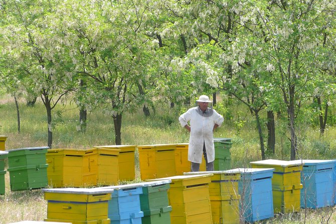 Bees Adventure in Romania - Private Day Trip from Bucharest - Key highlights you should know before you go