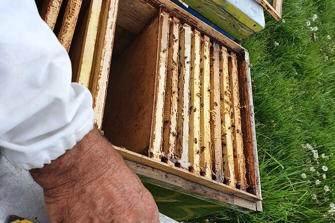 Bees Adventure in Romania - Private Day Trip from Bucharest - Valcea County drive: countryside timing, monastery breaks, and picture stops