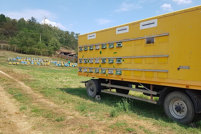 Bees Adventure in Romania - Private Day Trip from Bucharest - Honey harvesting demonstration: understanding the hive to connect with the tasting