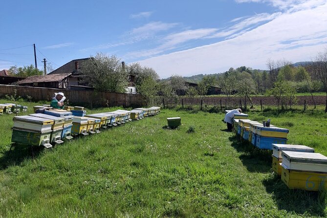 Bees Adventure in Romania - Private Day Trip from Bucharest - Lunch in ecological sources, plus honeybee dessert: the payoff that feels earned