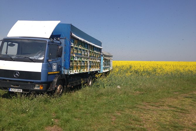 Bees Adventure in Romania - Private Day Trip from Bucharest - Meeting Nicolas and his father’s bees, and why the guide matters