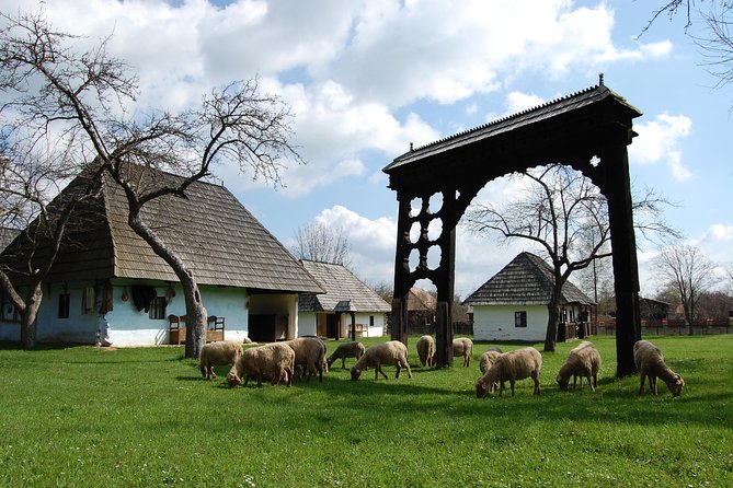 Best of Székely Land's Nature and Culture Full Day Trip from Brasov - From Brasov pickup to an 8 to 12 hour circuit