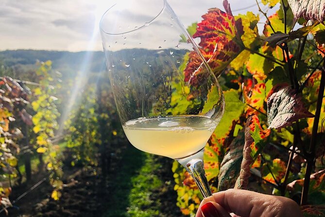 Bike & Wine tour in Dealu Mare wineland - From Bucharest pickup to Dealu Mare riding time