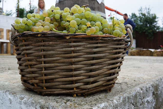 Bike & Wine tour in Dealu Mare wineland - Wine tasting in Dealu Mare: what the day really centers on