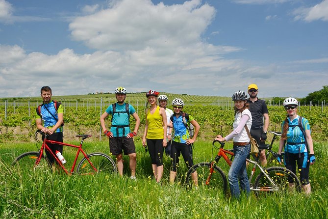 Bike & Wine tour in Dealu Mare wineland - Group size and guide attention: why this tour feels manageable