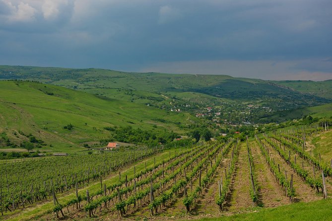 Bike & Wine tour in Dealu Mare wineland - Who this Dealu Mare bike and wine tour fits best