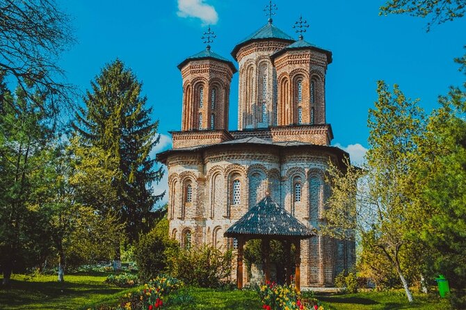 Bison Sanctuary, Vlad the Impaler Princely Court & Dracula Grave - Price and logistics, what this day trip really costs