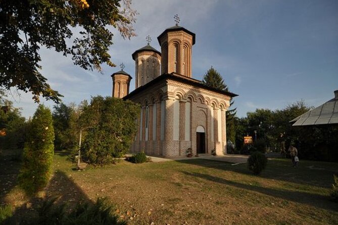 Bison Sanctuary, Vlad the Impaler Princely Court & Dracula Grave - What your day feels like, stop by stop