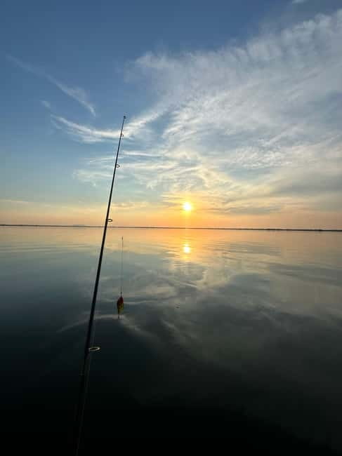 Boat Tour to Letea Forest - Danube Delta by boat, where the waterways do the storytelling