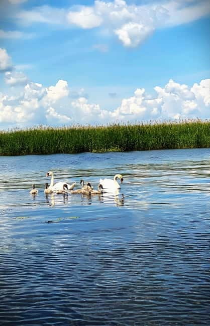 Boat Trip to Caraorman Forest – Danube Delta (5-6 hours) - What to bring for a comfy, bug-resistant day on delta water