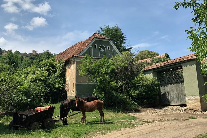 Bran and Rasnov Castles Tour from Brasov - Who Should Book This Tour, and Who Might Want a Different Plan