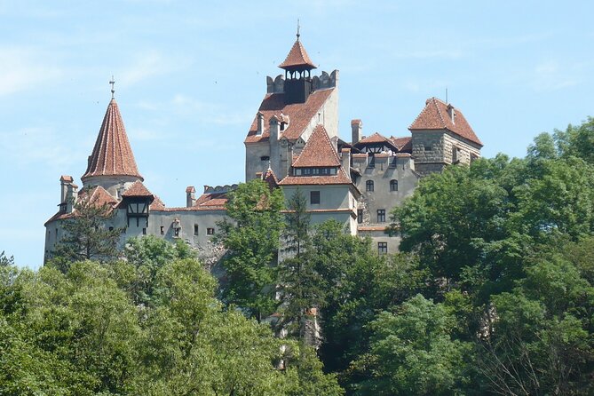 Bran Castle and more options private tour from Brasov - Stop 1: Liberty Bear Sanctuary Zarnesti (optional option)