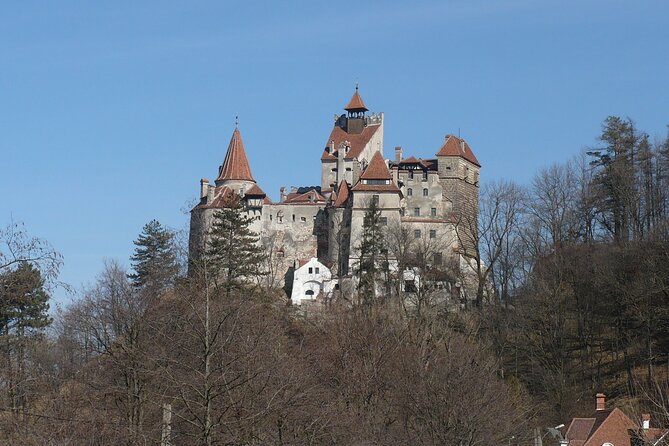 Bran Castle and more options private tour from Brasov - Stop 4: Rasnov Citadel garden and panoramic views (30 minutes, free, renovation note)