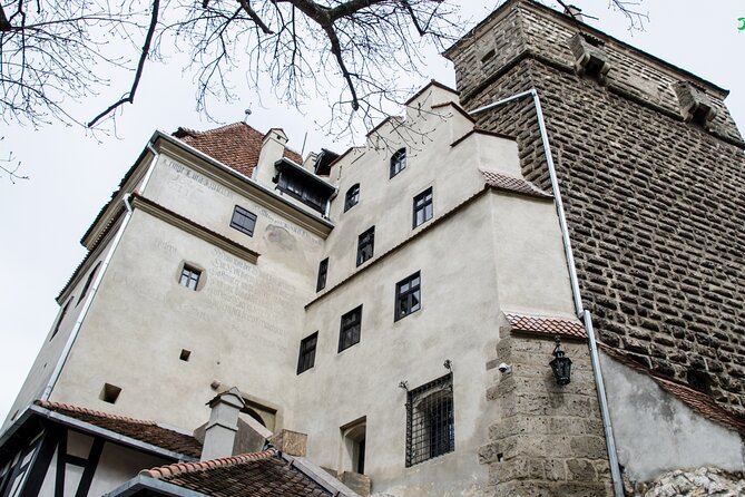 Bran Castle, Bear Sanctuary, and Rasnov Fortress Half Day Tour - Brașov to three sights in one day, without the stress