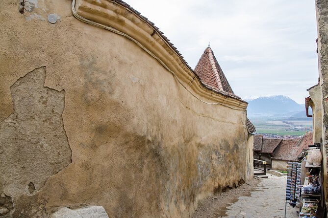 Bran Castle, Bear Sanctuary, and Rasnov Fortress Half Day Tour - Who this tour suits best
