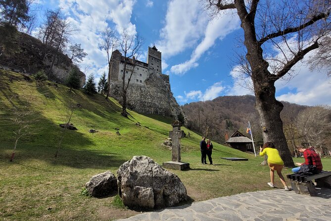 Bran Castle & Bear Sanctuary from Brasov - Optional Peles Castle - Libearty Bear Sanctuary Zărnești: more than a photo stop