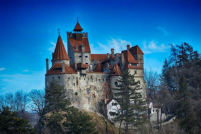 Bran Castle - trip from Brasov - A 3.5-Hour Bran Castle Day That Fits Real Schedules