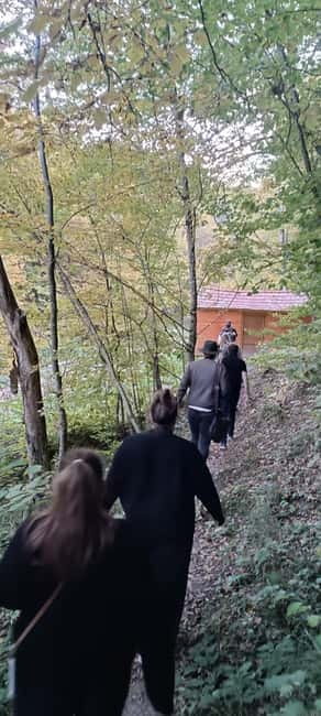 Brașov: 4-Hour Bear Watching Tour in Carpathian Mountains - Key things to know before you go