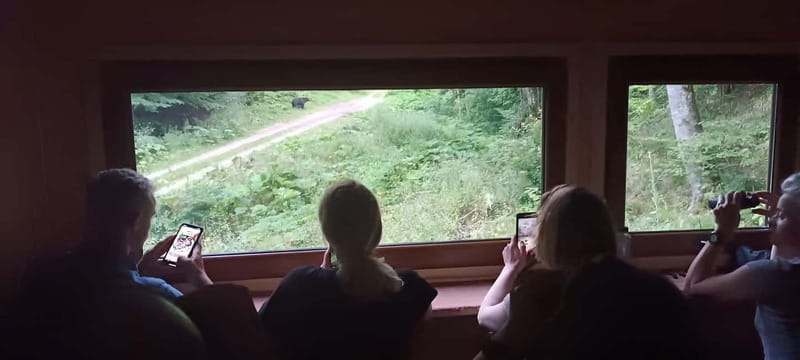 Brașov: 4-Hour Bear Watching Tour in Carpathian Mountains - The ranger briefing and the short hike to the bear hide