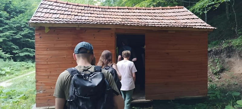 Brașov: 4-Hour Bear Watching Tour in Carpathian Mountains - Watching from the hideaway, where patience does the work