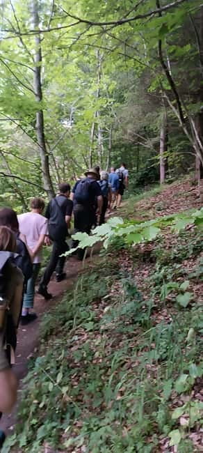Brașov: 4-Hour Bear Watching Tour in Carpathian Mountains - Photography rules that protect wildlife and improve your shots