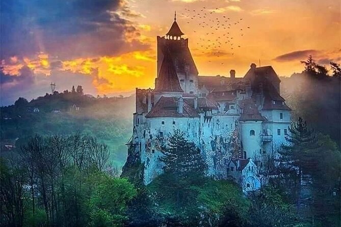 Brasov: Bear Sanctuary, Bran Castle & Rasnov Fortress GUIDED Tour - Price and logistics: what you pay, what you still need to plan