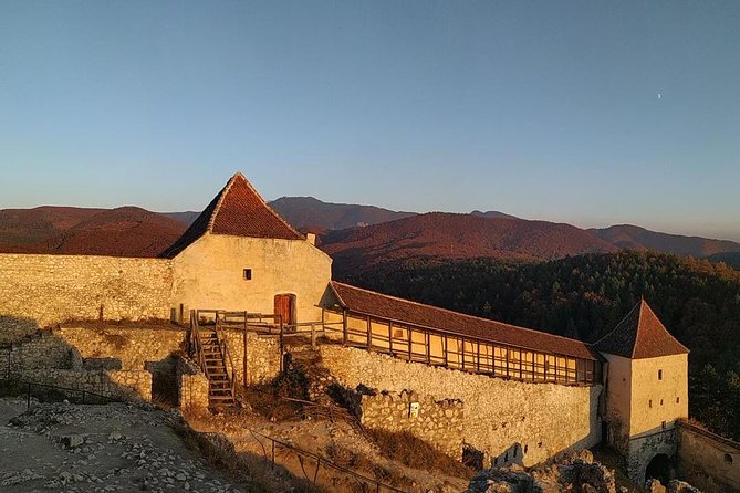 Brasov: Bear Sanctuary, Bran Castle & Rasnov Fortress GUIDED Tour - Who this tour suits best, and who might want a different plan