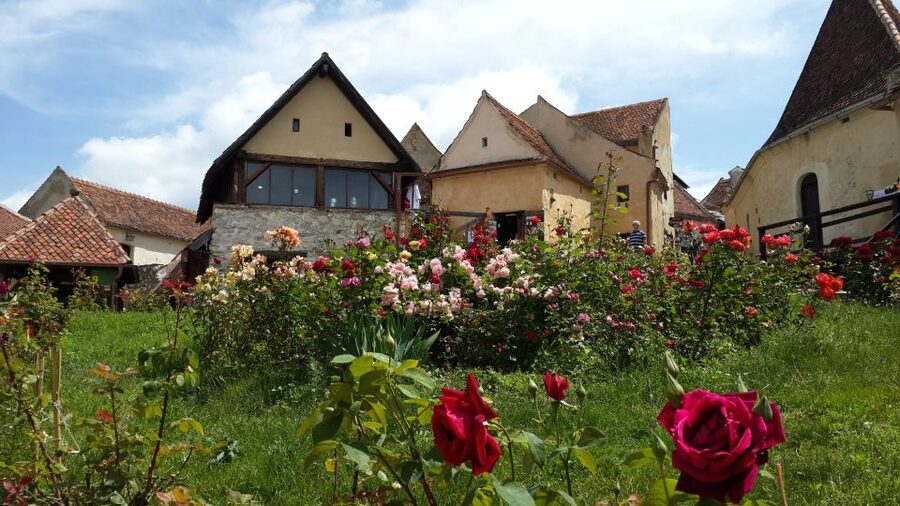 Brasov: Bear Sanctuary, Bran Castle & Rasnov Fortress Tour - Bran Castle and Vlad the Impaler: What You Actually See in 1.5 Hours