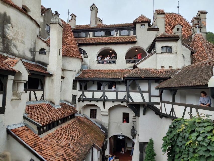 Brasov: Bear Sanctuary, Bran Castle & Rasnov Fortress Tour - Transport, Group Size, and Live Commentary in the Van