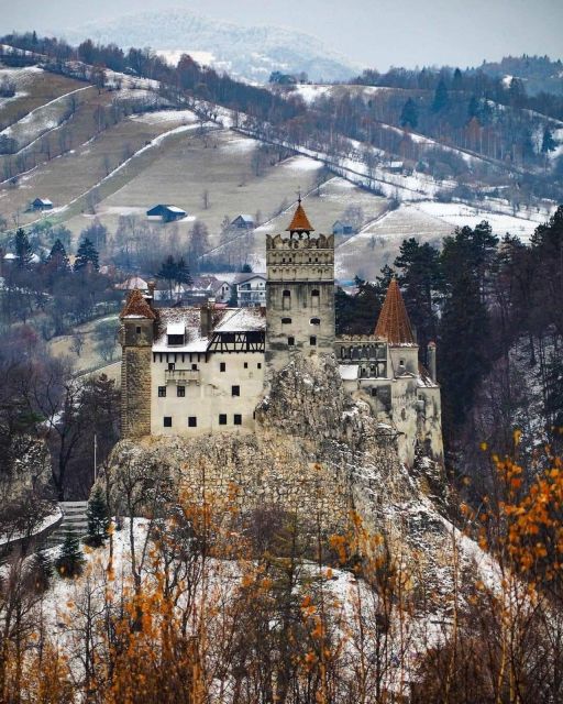 Brasov: Bear Sanctuary, Bran Castle & Rasnov Fortress Tour - Brown Bear Sanctuary in Zarnesti: 80 Minutes With the Biggest Brown Bear Setup