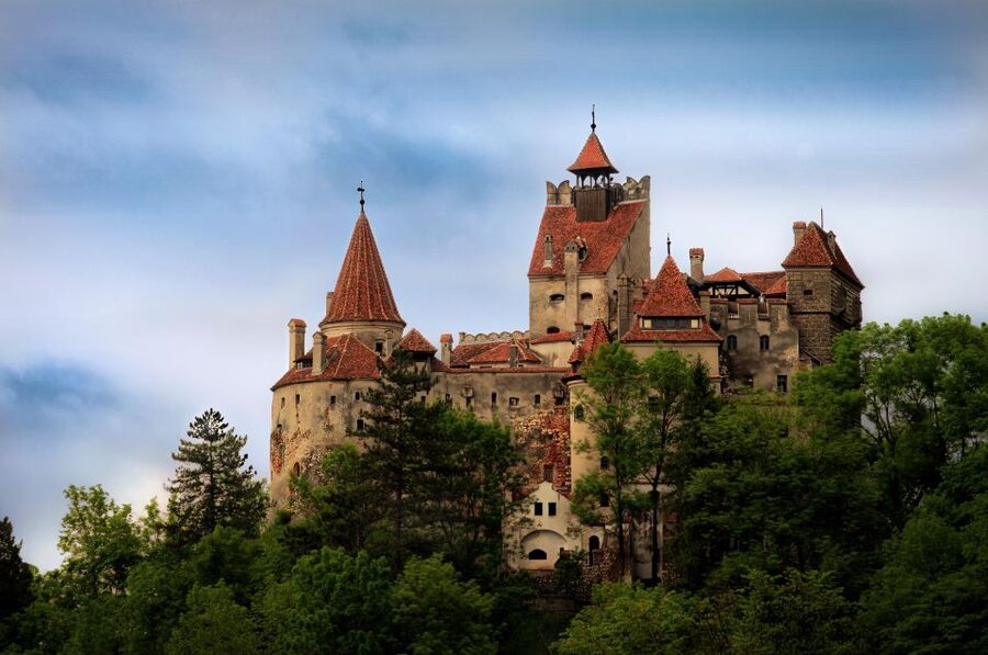 Brasov: Bear Sanctuary, Dracula Castle, and Râşnov Fortress - Key Points That Matter Before You Go