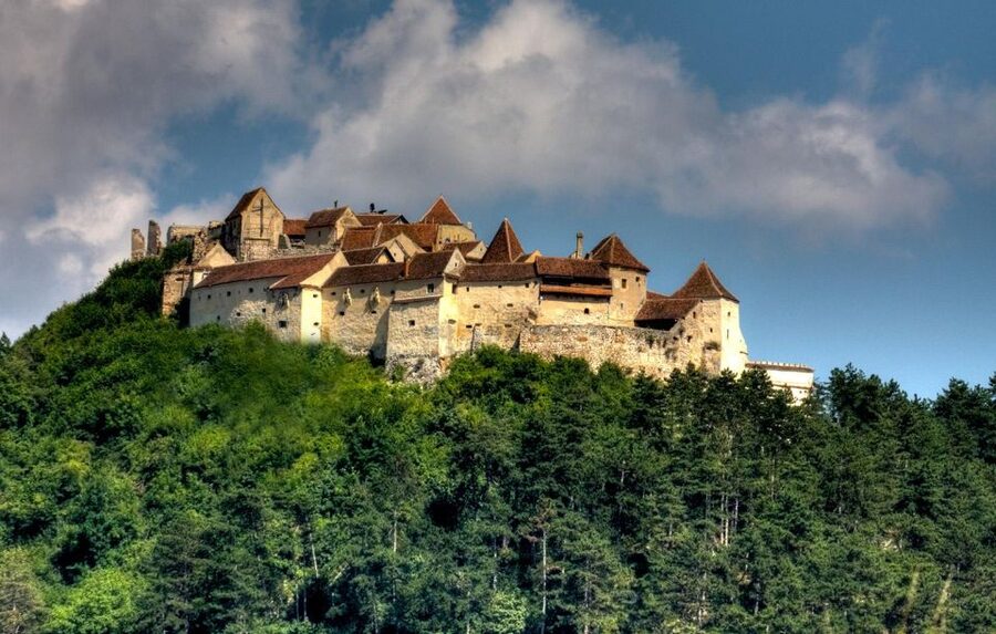 Brasov: Bear Sanctuary, Dracula Castle, and Râşnov Fortress - From Brașov to Zărnești: Why the Bear Sanctuary Is the Star