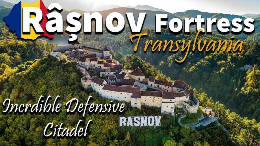 Brasov: Bear Sanctuary, Dracula Castle, and Râşnov Fortress - Guides Make the Difference: English, Timing, and Local Insight