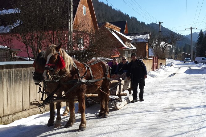 Brasov: Bears Sanctuary, Rasnov Fortress, Bran Castle GUIDED Tour - Hotel pickup, climate-controlled rides, and why the group size feels easier