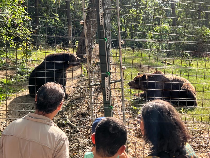 Brasov: Bran Castle, Bear Sanctuary, Rasnov (Peles Optional) - Who this Brasov tour suits best