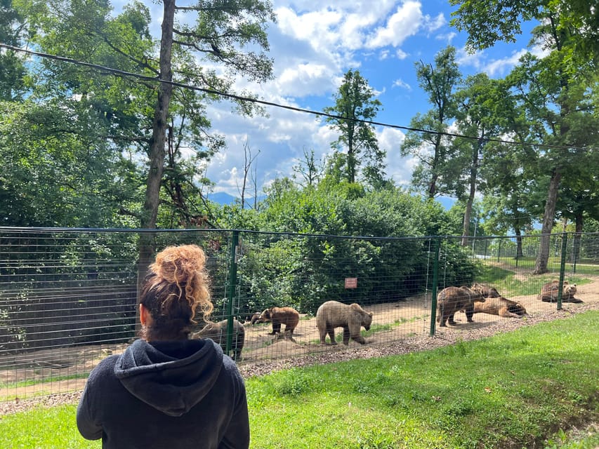 Brasov: Bran Castle, Bear Sanctuary, Rasnov (Peles Optional) - Rașnov Citadel: fortress views and how people actually survived