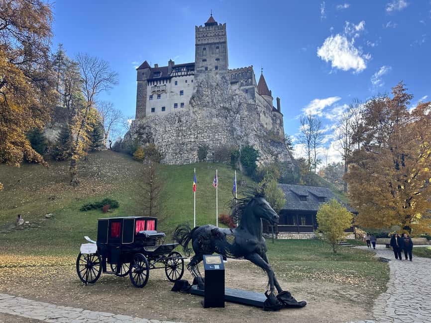 Brasov: Bran Castle Halloween Party & Night Tour + Transport - Why having a guide for the whole night is a value win