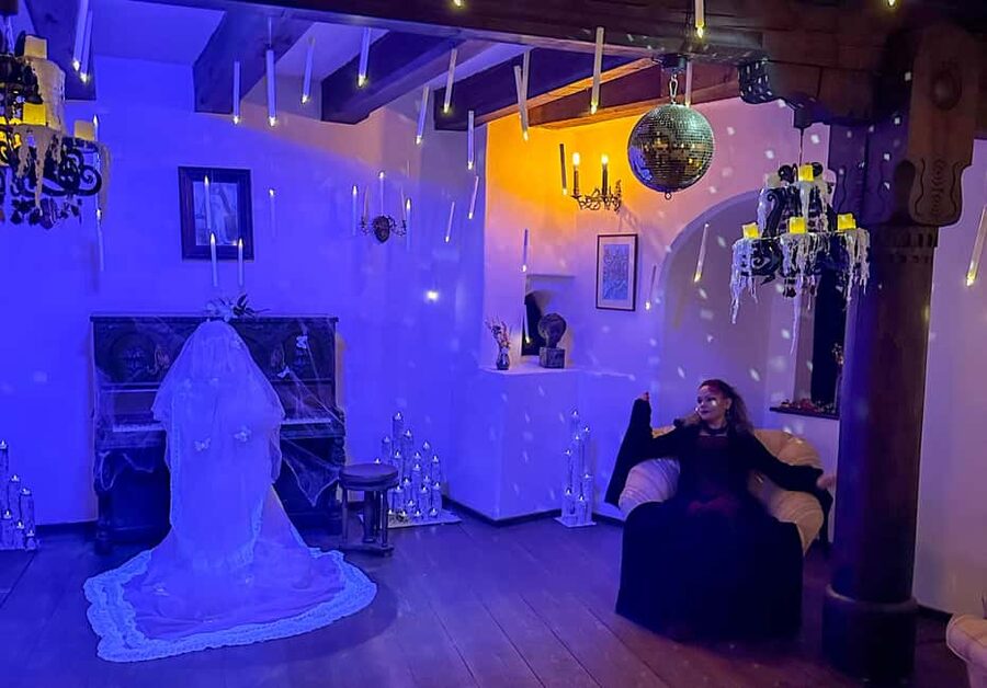 Brasov: Bran Castle Halloween Party & Night Tour + Transport - Who this Halloween night tour suits best