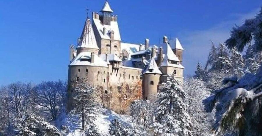 Brasov: Bran, Peles and Cantacuzino Castles Day Tour - Skip-the-Line Access: Why It Matters More Than You Think