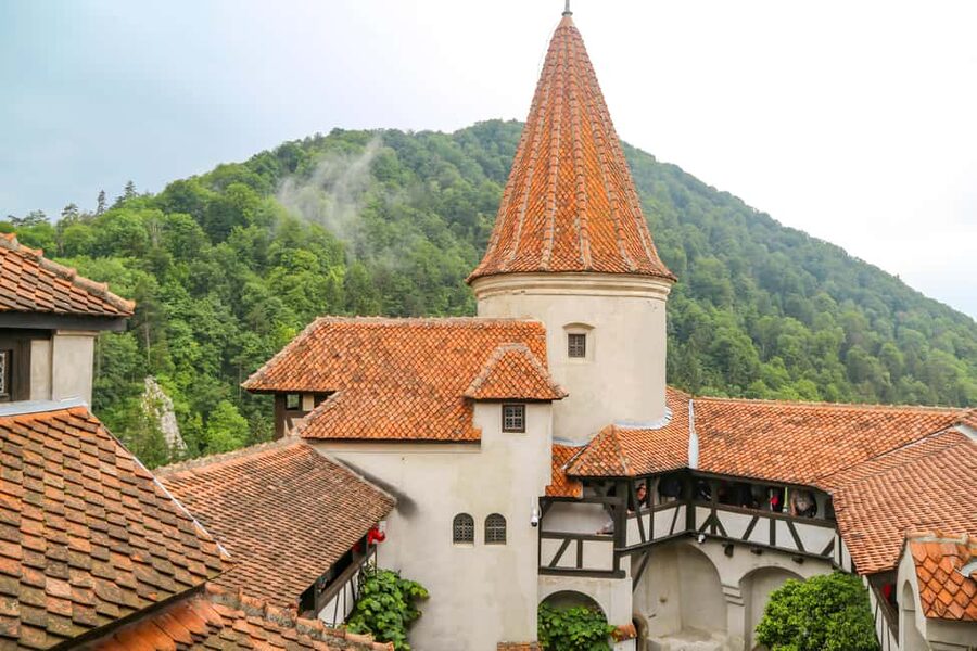 Brașov: Bran, Râșnov, and Peleș Castles Tour with Guide - Peleș Castle: Neo-Renaissance Beauty Plus Surprising 1800s Technology