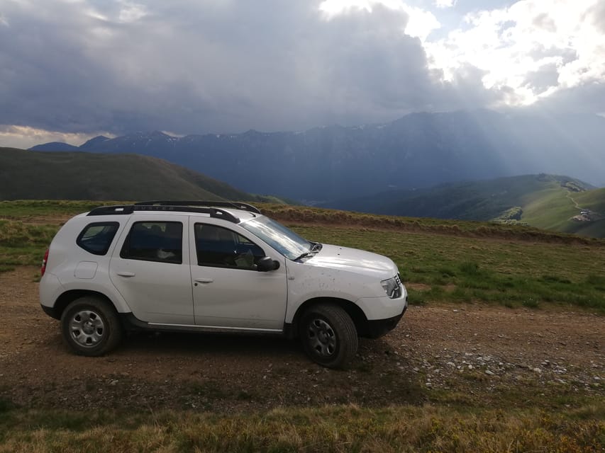 Brasov: Brown Bear & Wildlife Watching - The ranger and the learning factor (and what to do if you want more talk)