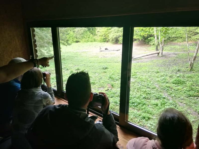 Brasov: Brown Bear & Wildlife Watching - Price and value: is $150 per person worth it?