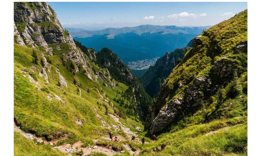 Brașov: Carpathian Mountains Guided Hike with Pickup - The Licensed Guide Factor, From Storytelling to Safety