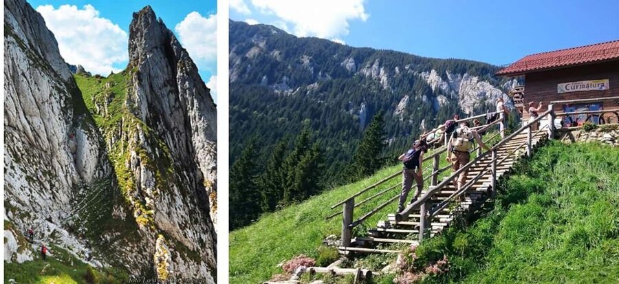 Brașov: Carpathian Mountains Guided Hike with Pickup - Piatra Craiului National Park: The King’s Ridge and Zărnești Gorge