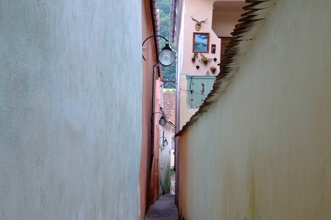 Brasov City Guided Walking Tour for Small Group - Biserica Neagra: Gothic Grandeur, the Organ, and Carpet Lore