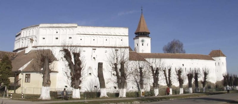 Brasov: Hărman, Prejmer and Feldioara Half-Day Tour - Key highlights to look for on this tour