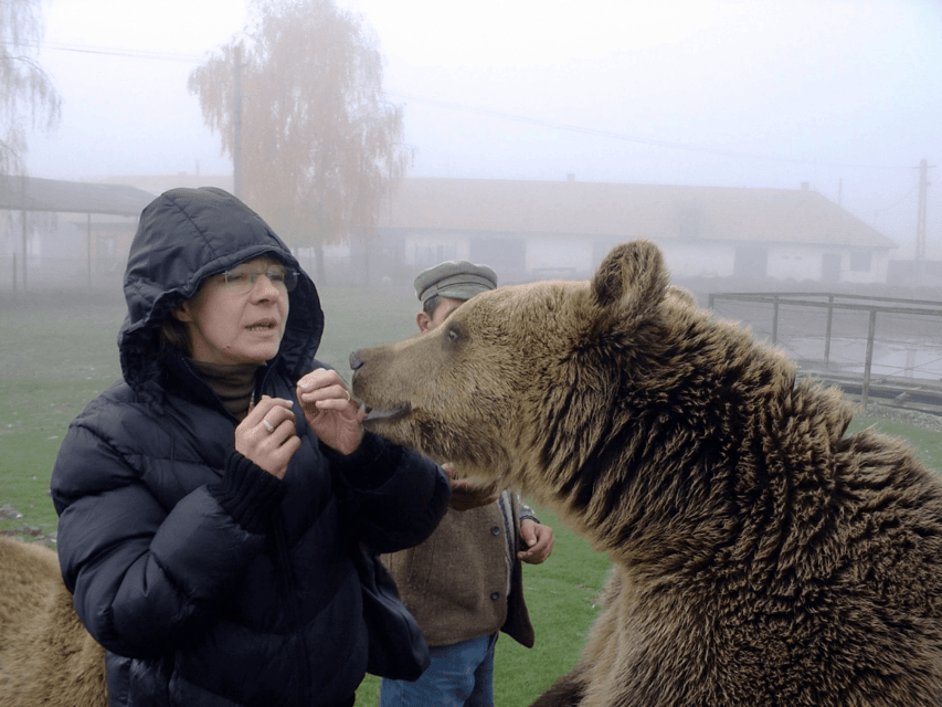 Brasov: Libearty Bear Sanctuary - Maya the bear: the memorial stop that changes the mood