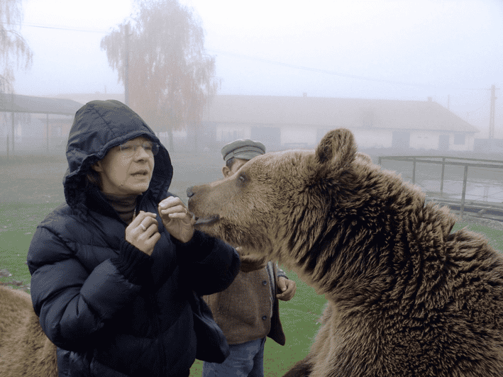 Brasov: Libearty Bear Sanctuary - The real value: a guide who explains the bear stories